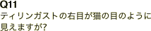 Q11 ティリンガストの右目が猫の目のように見えますが?